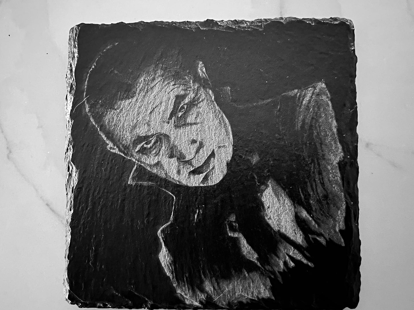 Coaster Set - Classic Monsters Universally Loved!